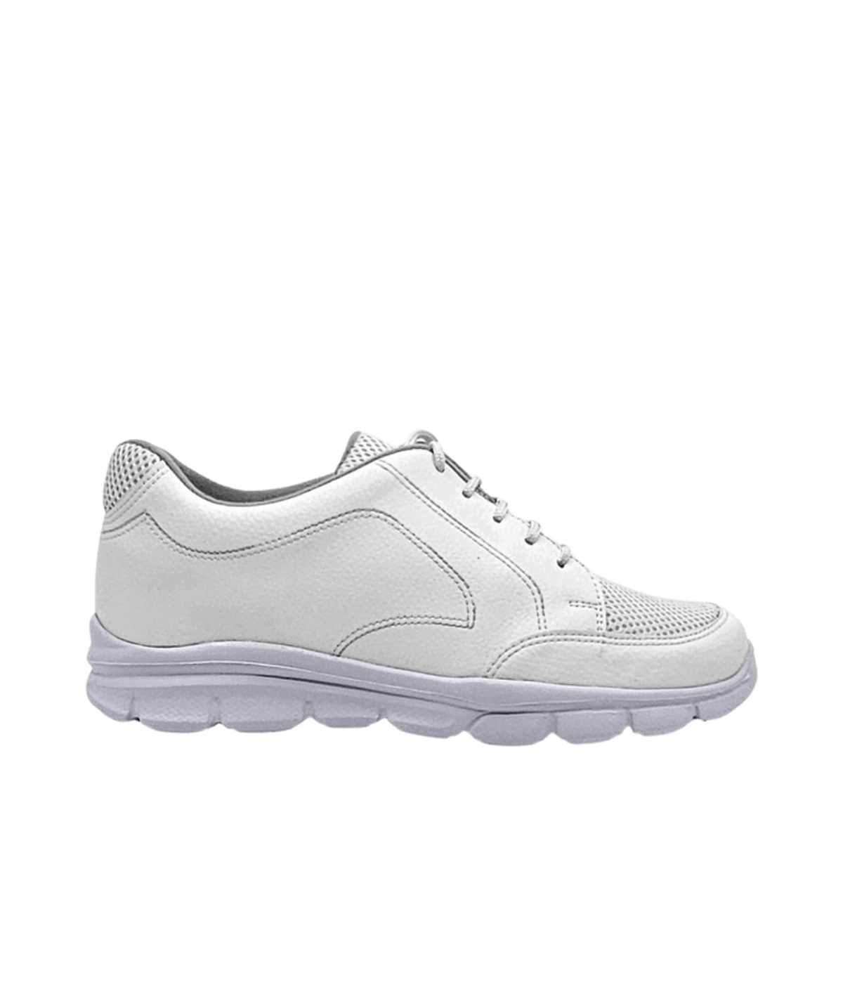 diastep-snow.png